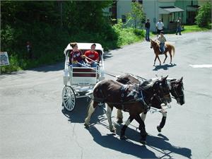 Presidential Carriage